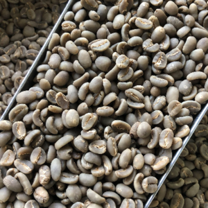 Coffee Beans - Image 2