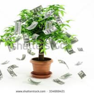 Business and Project Loans/Financing Available