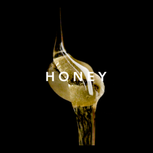 Arabica Kintamani Honey Processed Green Coffee Beans