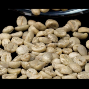 Arabica Kintamani Washed Processed Green Coffee Beans