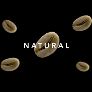 Arabica Kintamani Natural Processed Green Coffee Beans