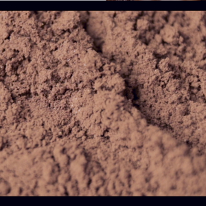 Arabica Kintamani Coffee Powder