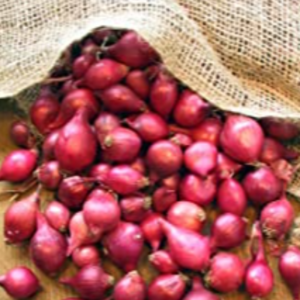 Homegrown Onions by Crossroad