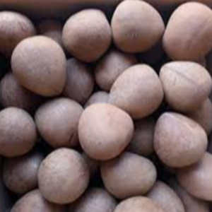 DRY COCONUT by KASTURI COCONUT PROCESSING