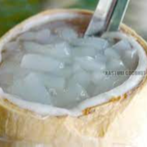 NATA DE COCO(COCONUT JELLY)
