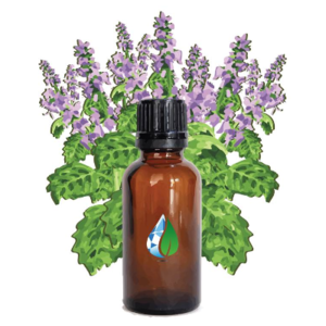 Patchouli Oil