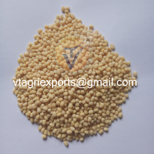 Urad Gota