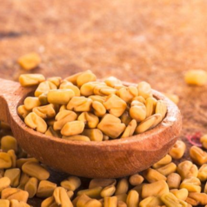 Fenugreek by TDS EXPORTS