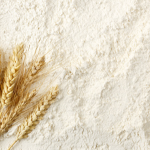 resources of Wheat Flour exporters