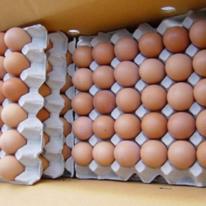 Farm Fresh Table Chicken Eggs ,FROZEN CHICKEN FEET, FROZEN BEEF,HALAL FROZEN WHOLE CHICKEN - Image 2