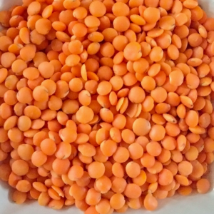 Red Lentil