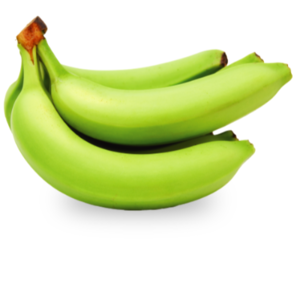 G9 CAVENDISH BANANA