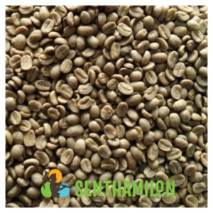 Coffee Bean (Green - Roasted) by Senthamilon Private Limited
