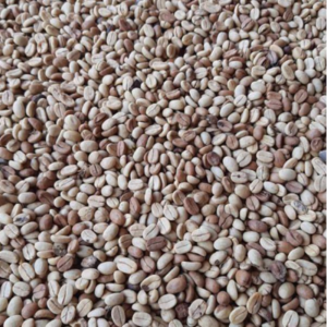 Green and Roasted Coffee Beans Cameroon