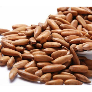 Pine Nuts