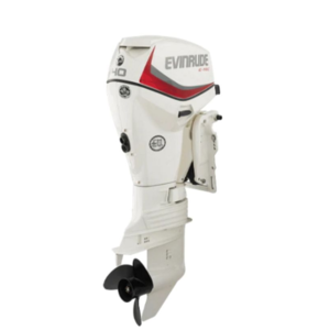 Evinrude E40DRGL E-TEC Outboard Motor