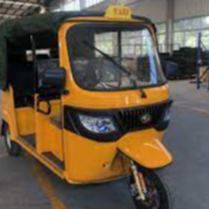 Tuk Tuk Taxi India 3 Wheel Adult Passenger E Tricycle - Image 2