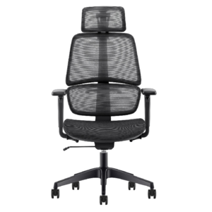 Weworth Adjustable Height Mesh Office Chair TG