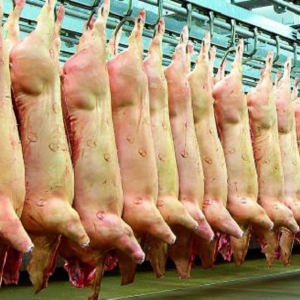 resources of PORK exporters