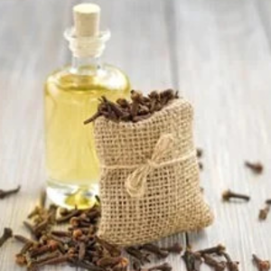 Clove Stem Oil