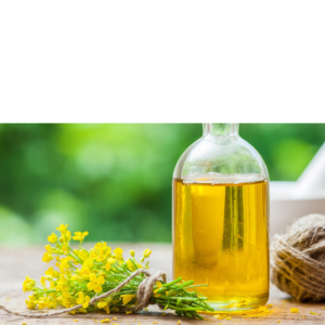 canola oil by Amg empire invest
