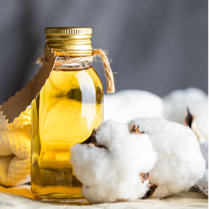 cutton seed oil by Amg empire invest