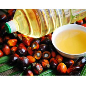 palm oil by Amg empire invest