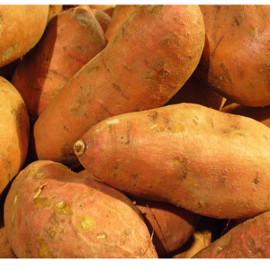 SWEET POTATO