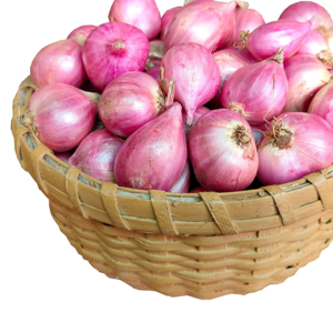 Onion by SEABASE TRADING PVT. LTD.