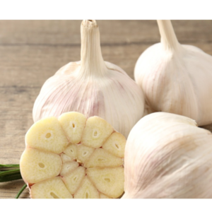 garlic by SEABASE TRADING PVT. LTD.