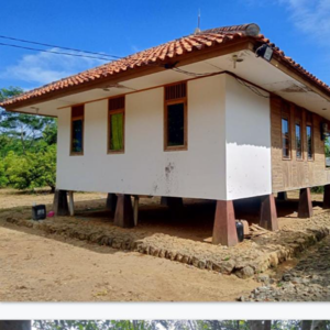 Rubber Plantation - Image 6