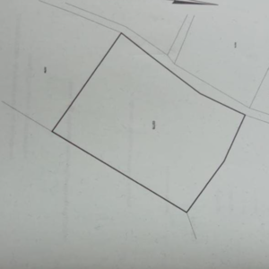 Rubber Plantation - Image 12