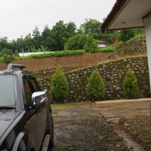 Rubber Plantation - Image 14