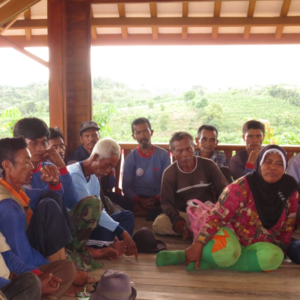 Rubber Plantation - Image 15