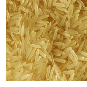 1121 GOLDEN SELLA by J.P. international