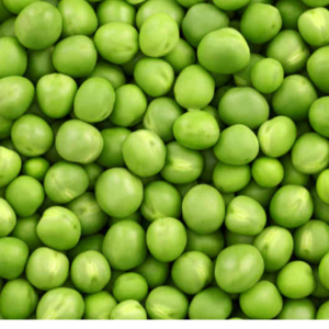 Peas by Endo Inc