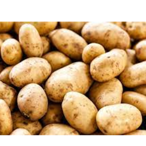 Potato by Indo Java International