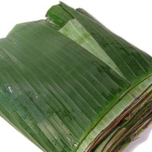 Banana Leaf
