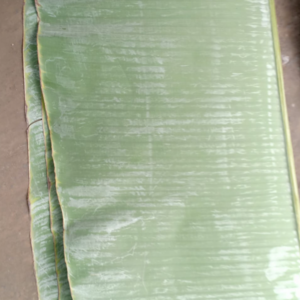Banana Leaf - Image 4