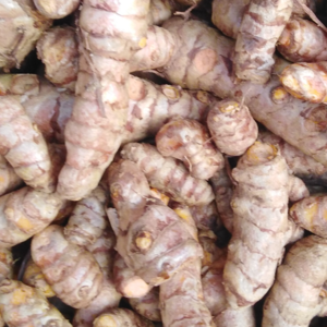 resources of Turmeric exporters