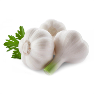 WHITE GARLIC - Image 3