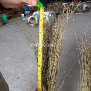 Palm Broom Stick - Image 2