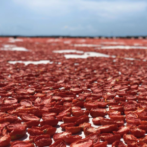 Sun Dried Tomatoes - Image 2