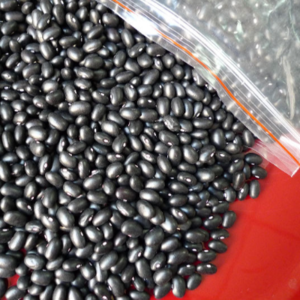 Organic Black Kidney Beans