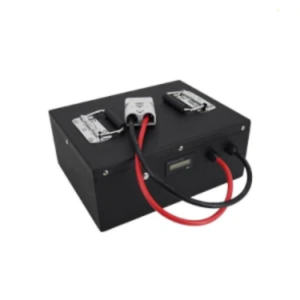 60V50ah Li-ion Battery with BMS for Golf Cart, RV, EV