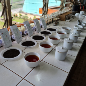 Black Tea Bulk