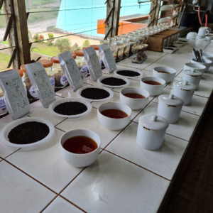 Brewed Tea Retail