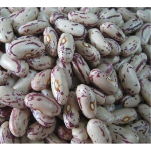 Light Speckled Kidney beans
