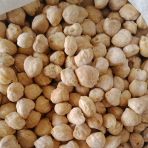 Candlenut Commodity