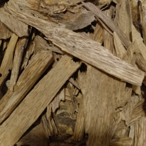 Innoculated Agarwood Blocks